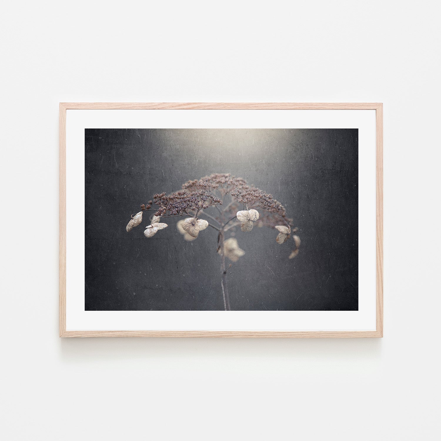 wall-art-print-canvas-poster-framed-Withe Hydrangea-6