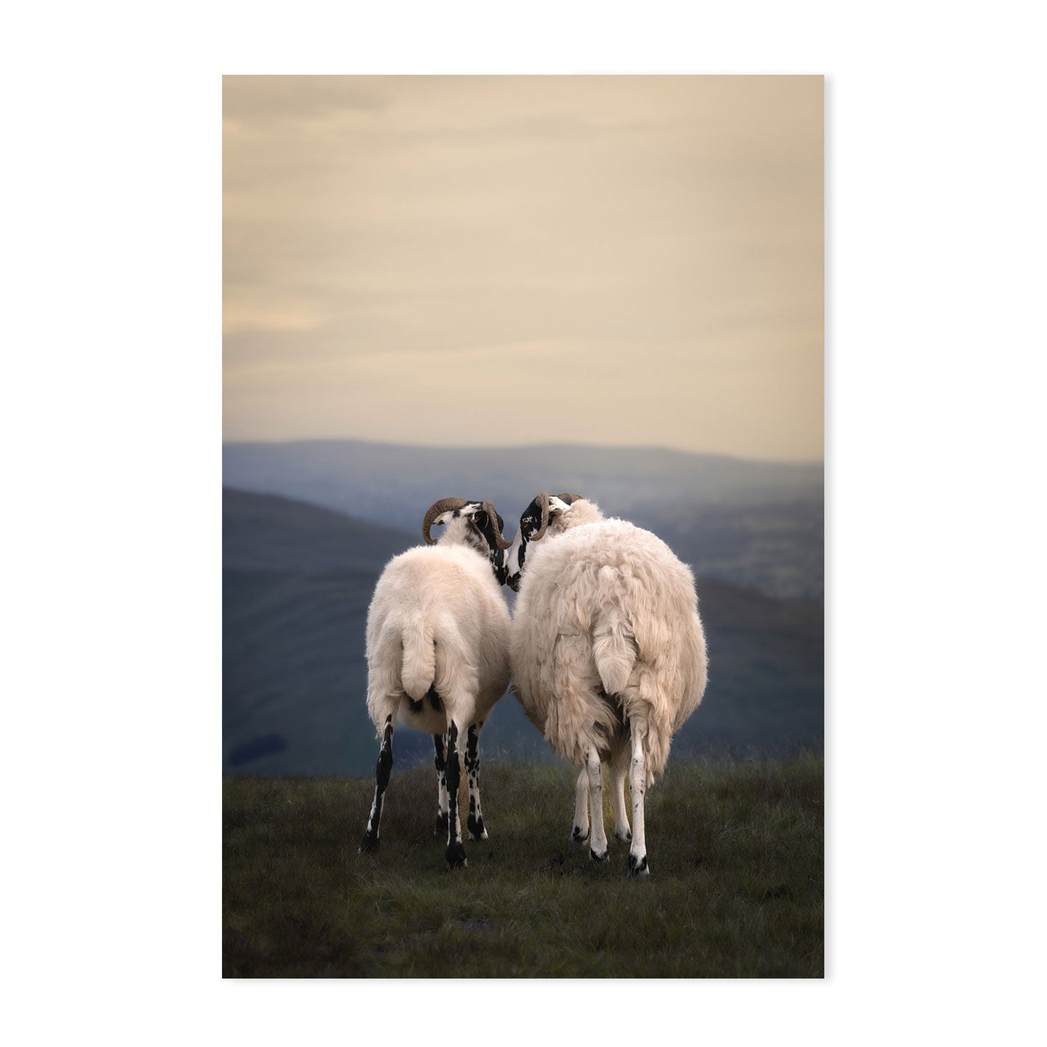 wall-art-print-canvas-poster-framed-Yorkshire Romance-GIOIA-WALL-ART