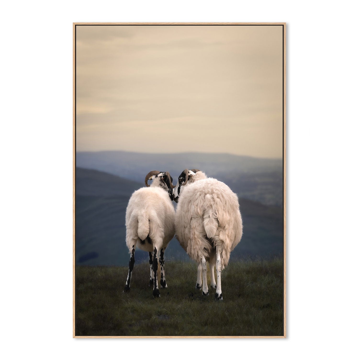 wall-art-print-canvas-poster-framed-Yorkshire Romance-GIOIA-WALL-ART