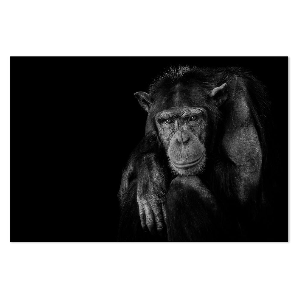 wall-art-print-canvas-poster-framed-Youth Don'T Last Forever, By Nauzet Baez Photography-by-Plus X Studio-Gioia Wall Art