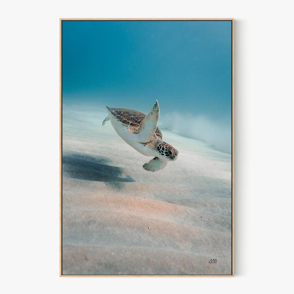 Wave Hello-by-Max Blakesberg Studios-wall-art-print-canvas-poster-framed-Gioia