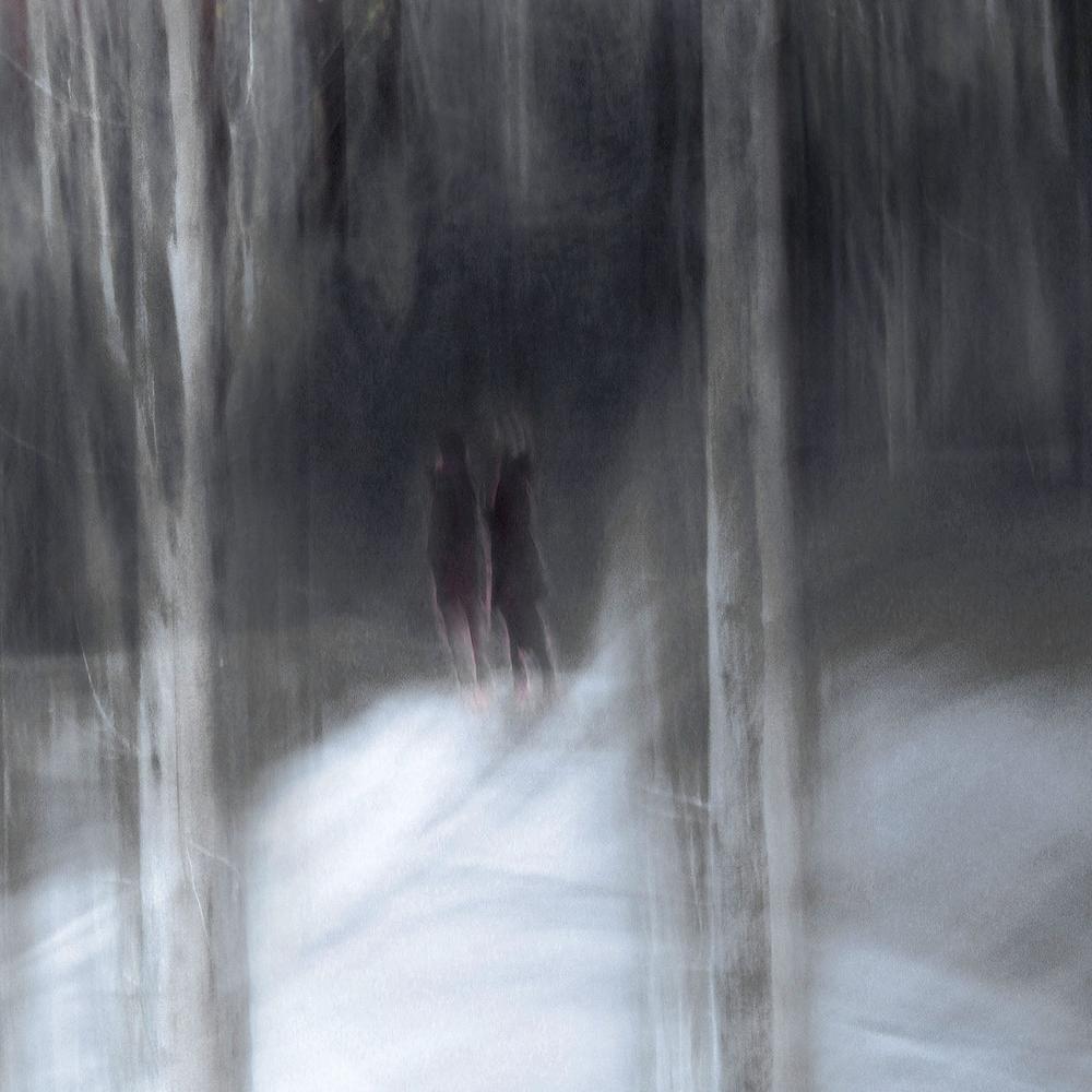 Winter Forest Walk-by-Christina Sillen-wall-art-print-canvas-poster-framed-Gioia