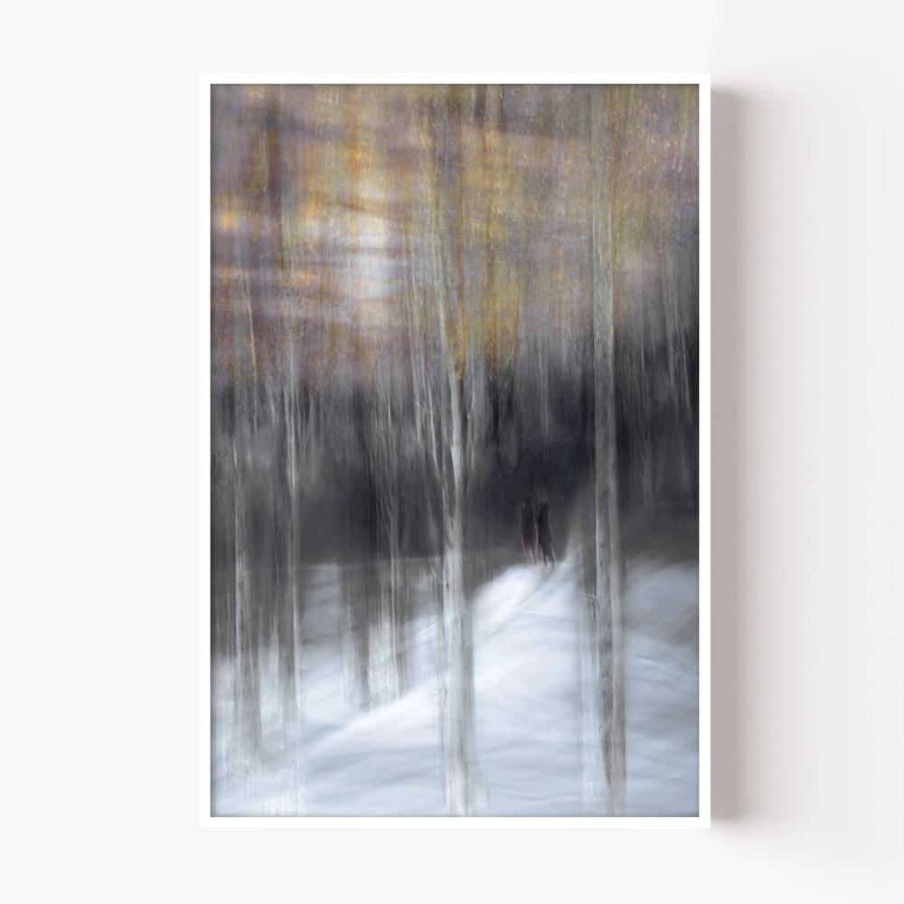 Winter Forest Walk-by-Christina Sillen-wall-art-print-canvas-poster-framed-Gioia