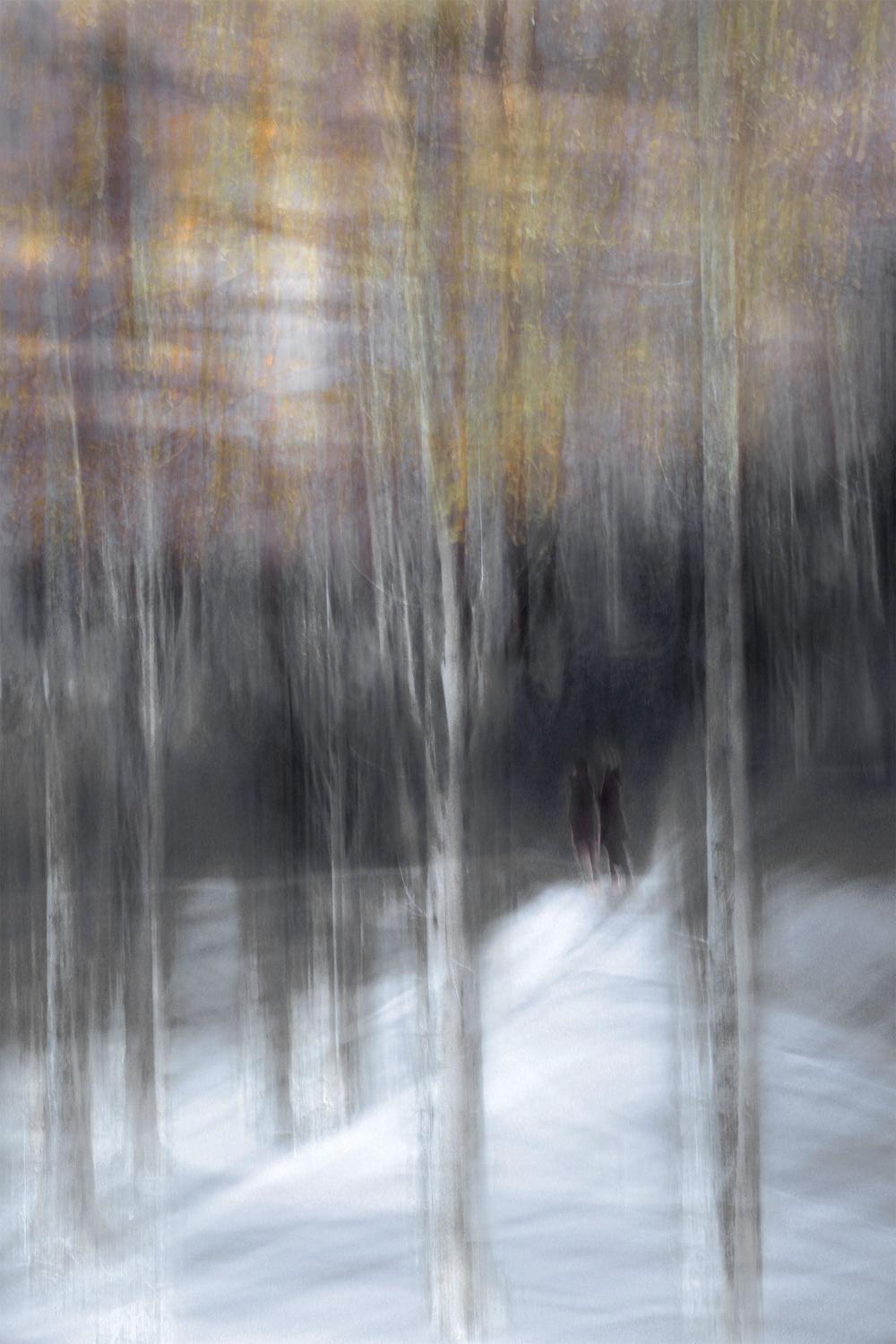 Winter Forest Walk-by-Christina Sillen-wall-art-print-canvas-poster-framed-Gioia