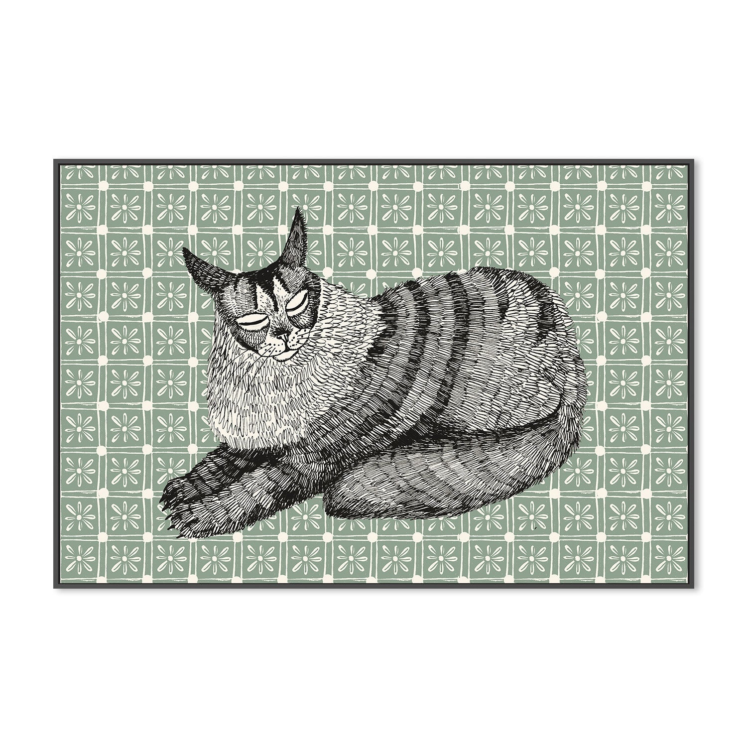 Maine Coon