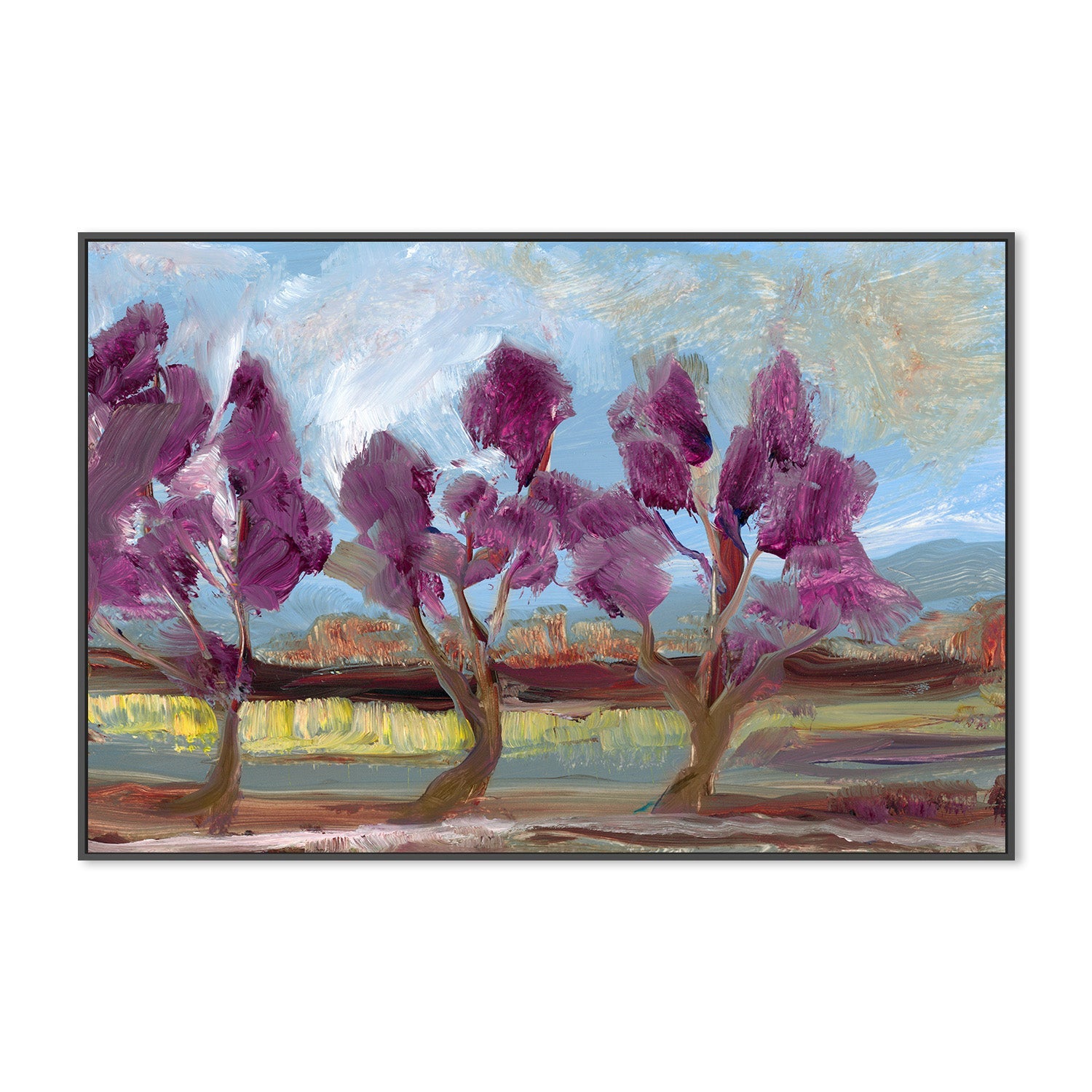 Jacaranda