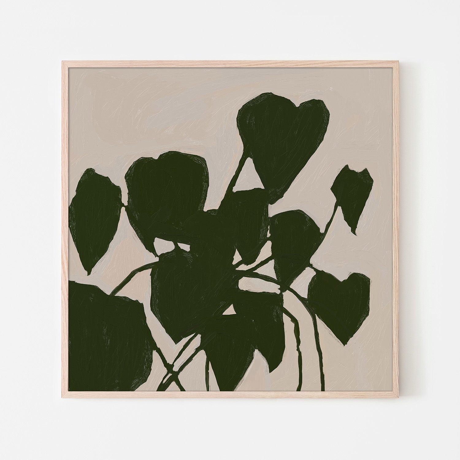 House Plant