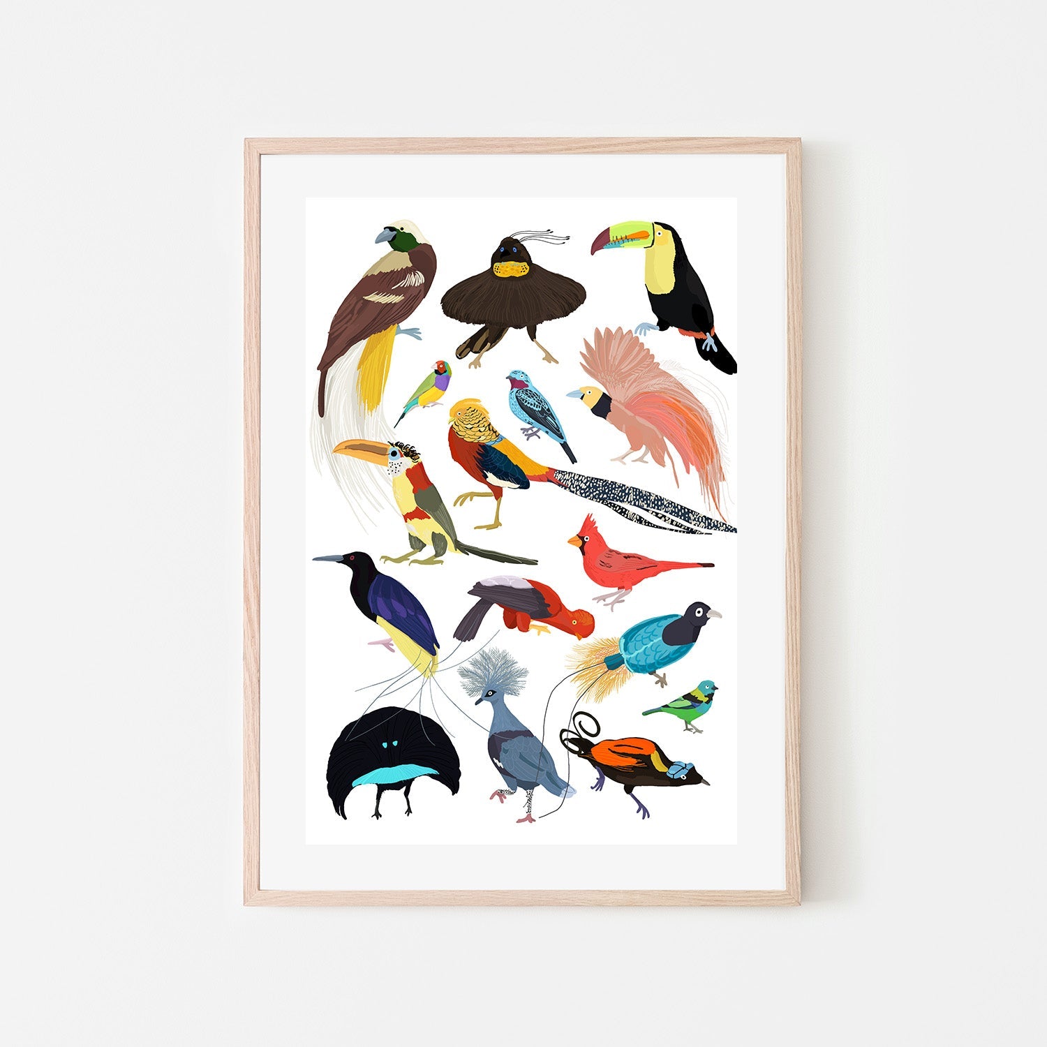Birds of Paradise