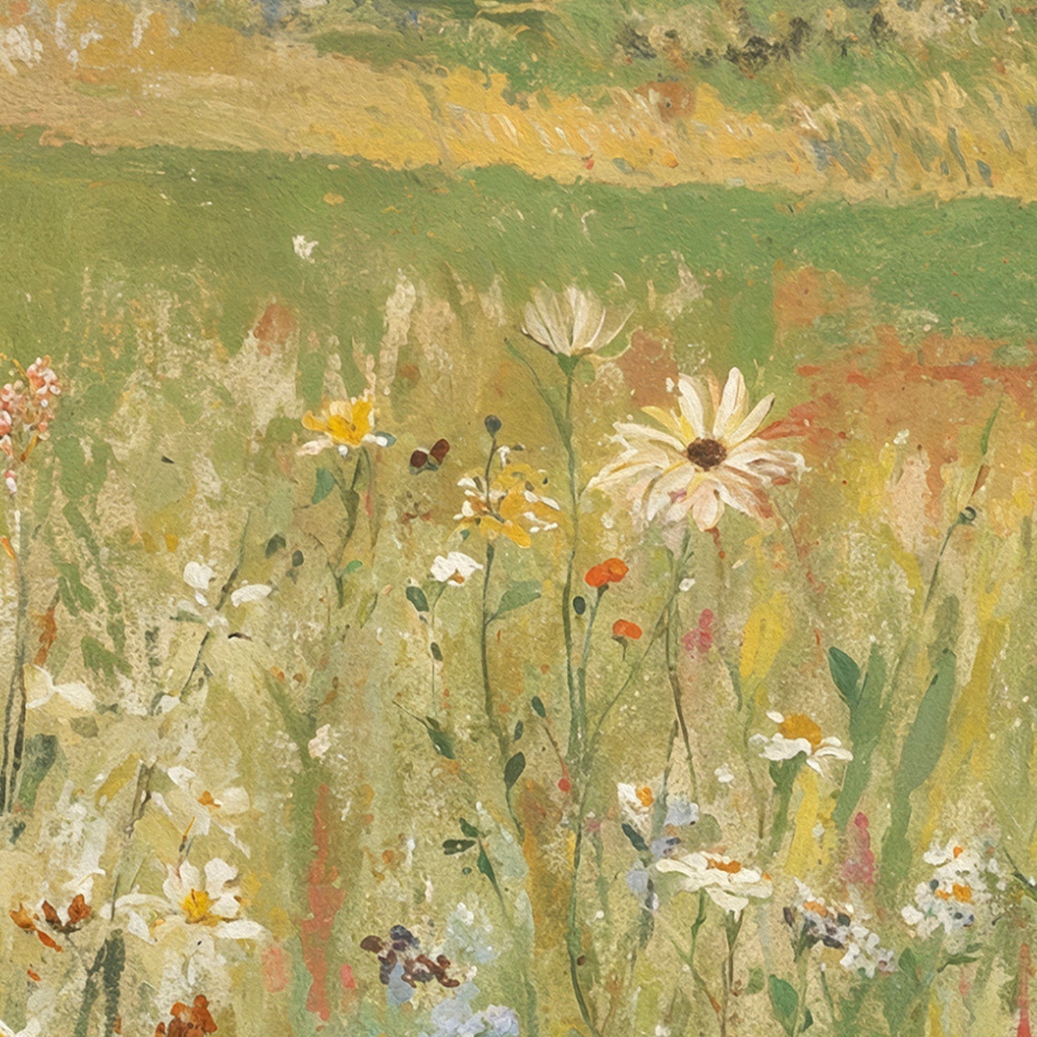 Spring Field