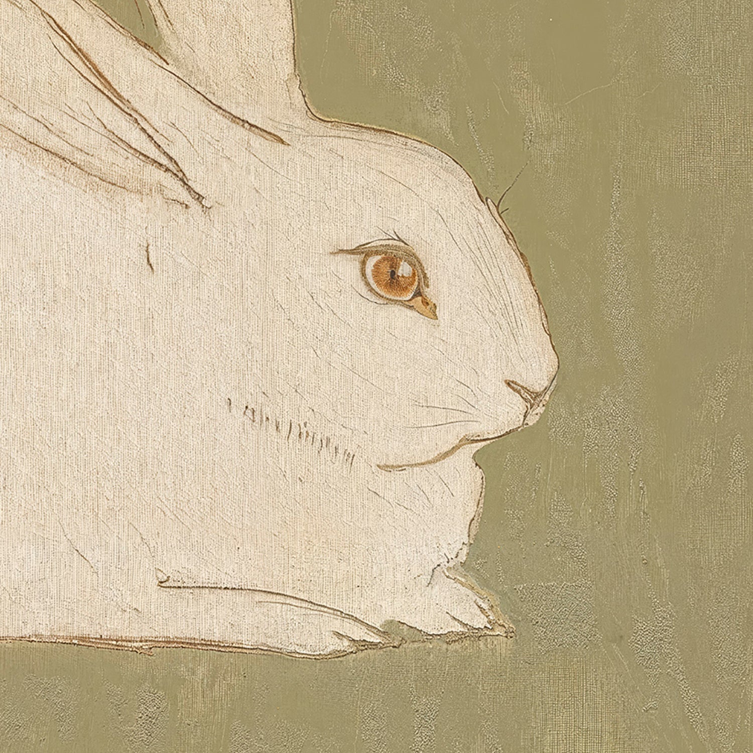 The Bunny