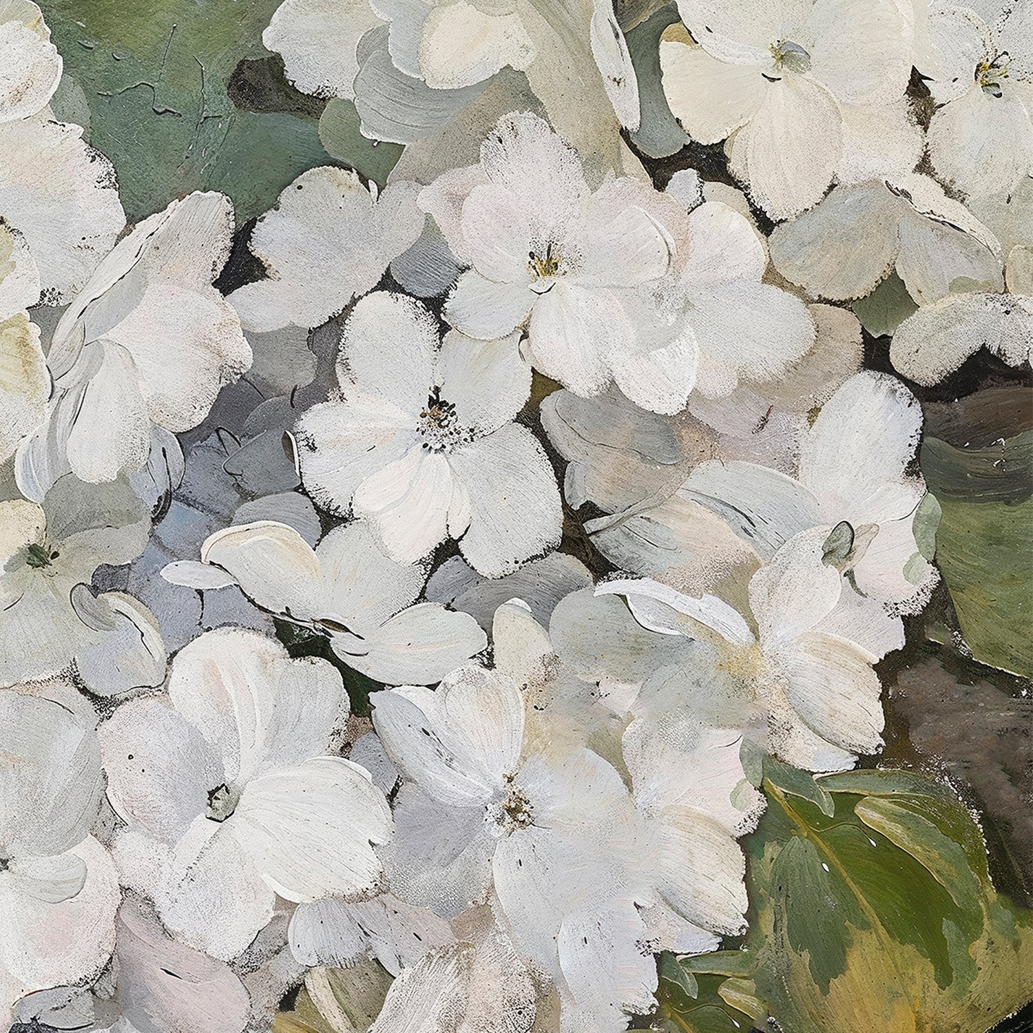 Hydrangeas