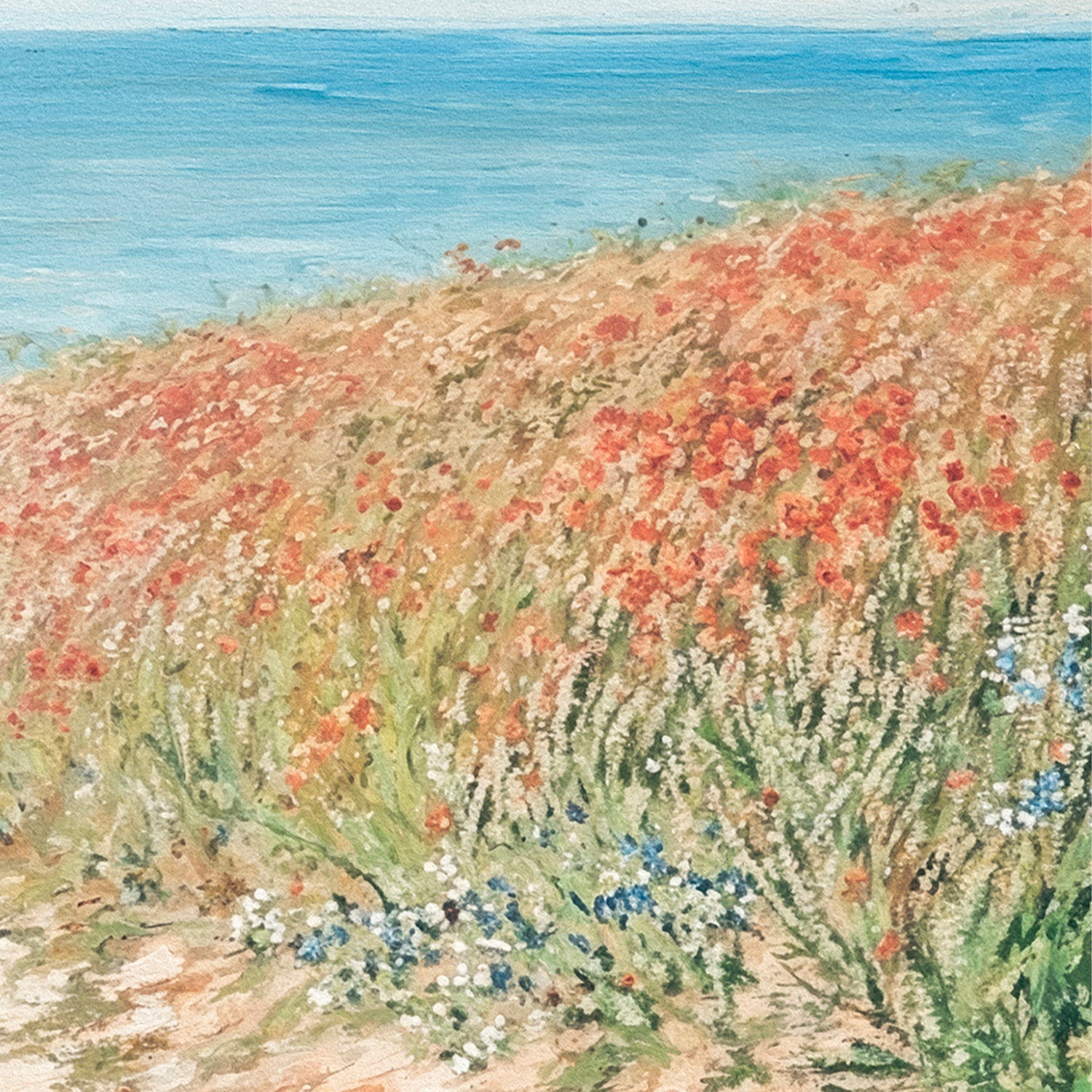 Coastal Pathway