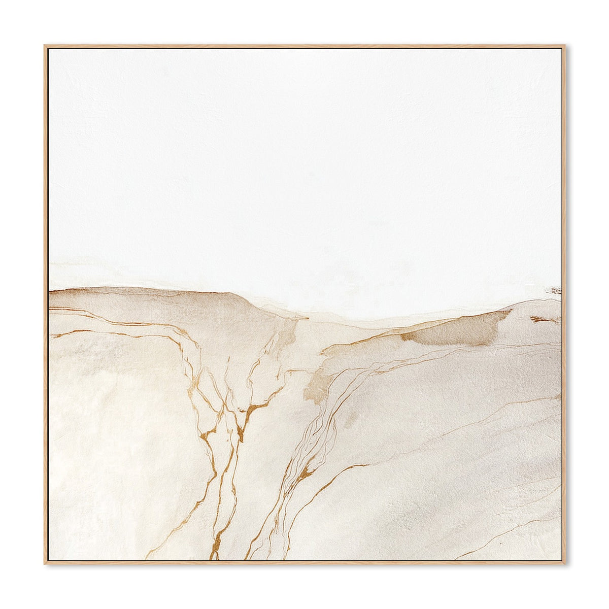 Golden Desert Lines