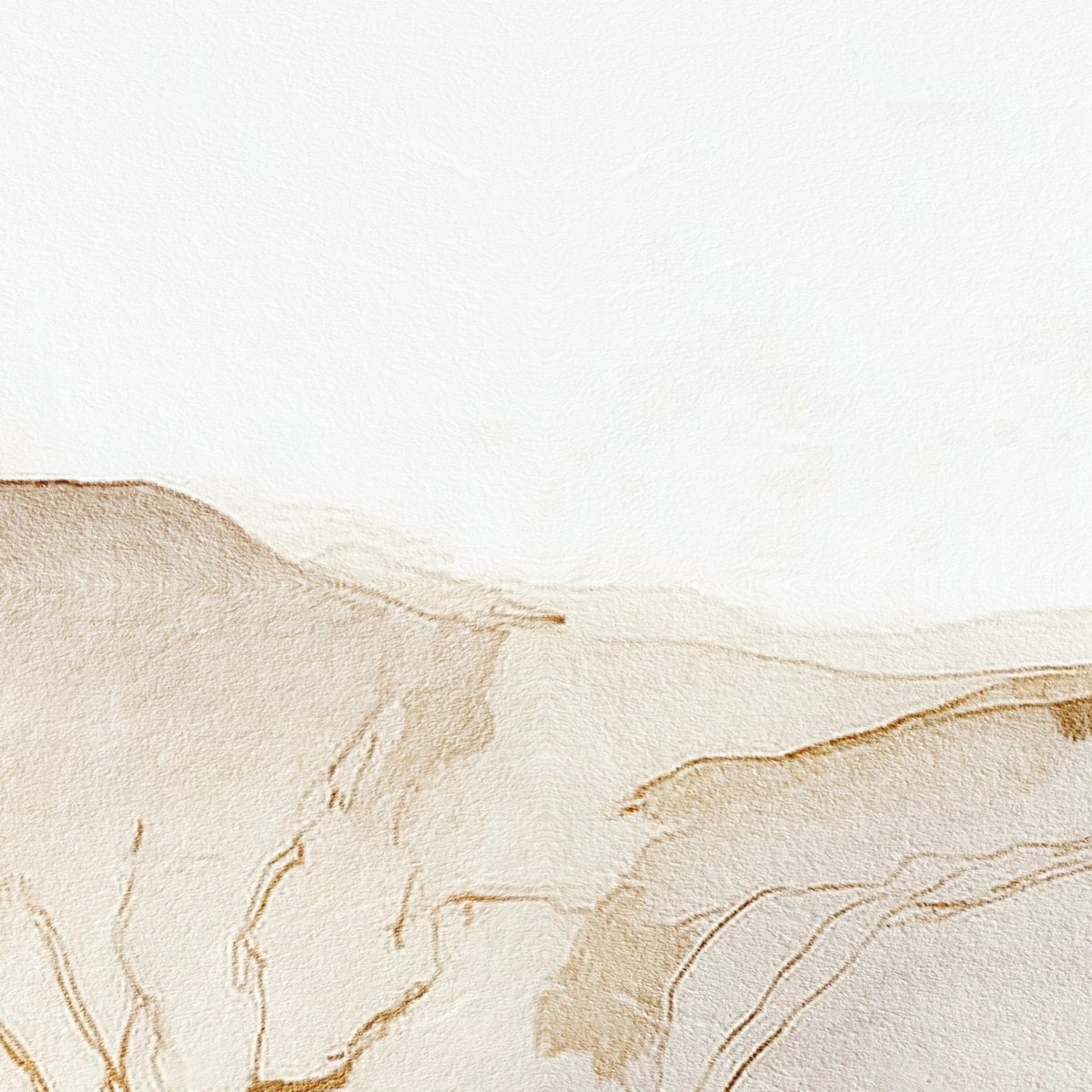 Golden Desert Lines