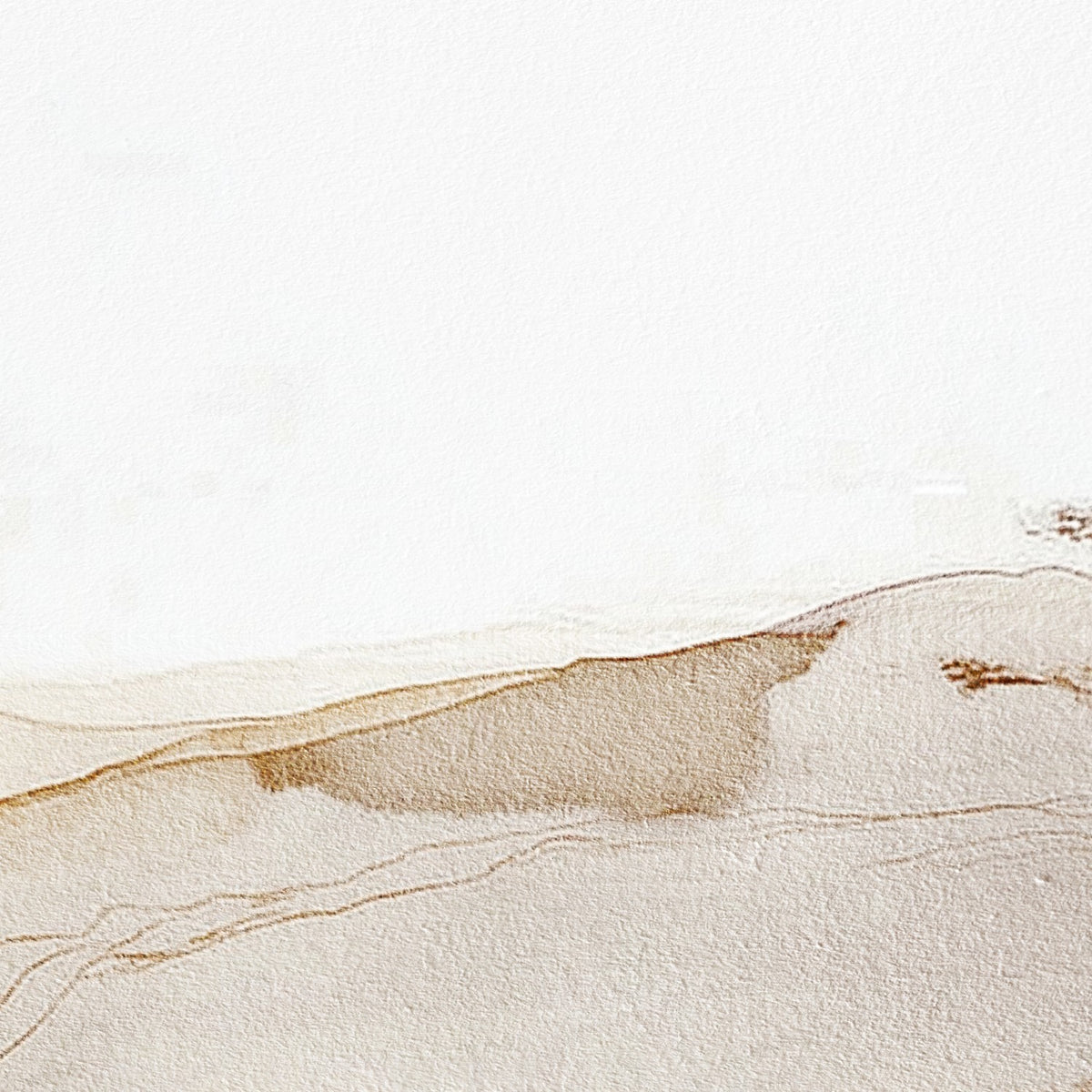 Golden Desert Lines