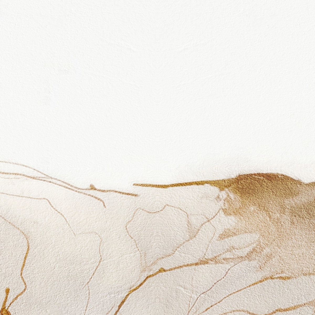Soft Golden Flow