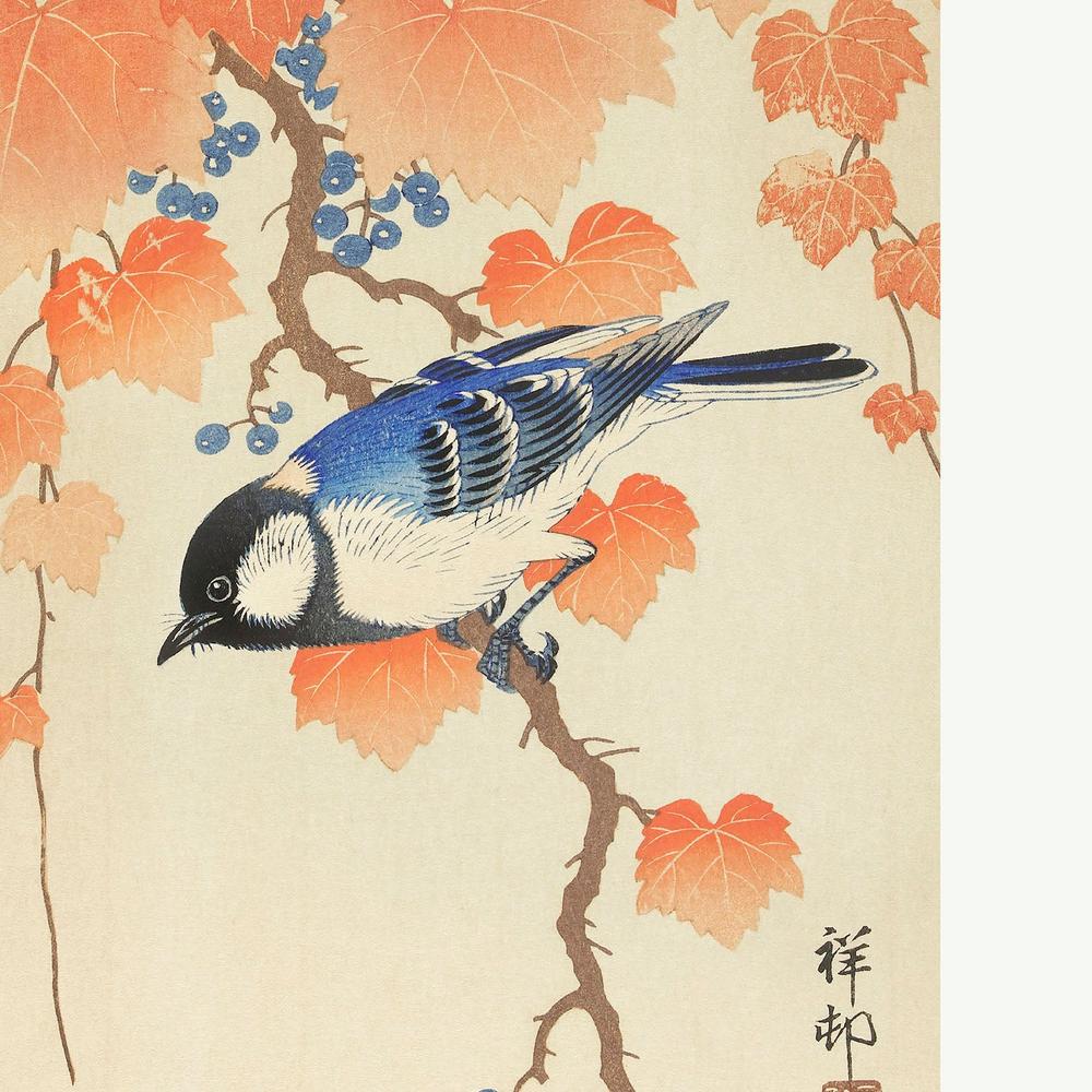 Great Tit On Paulownia Branch