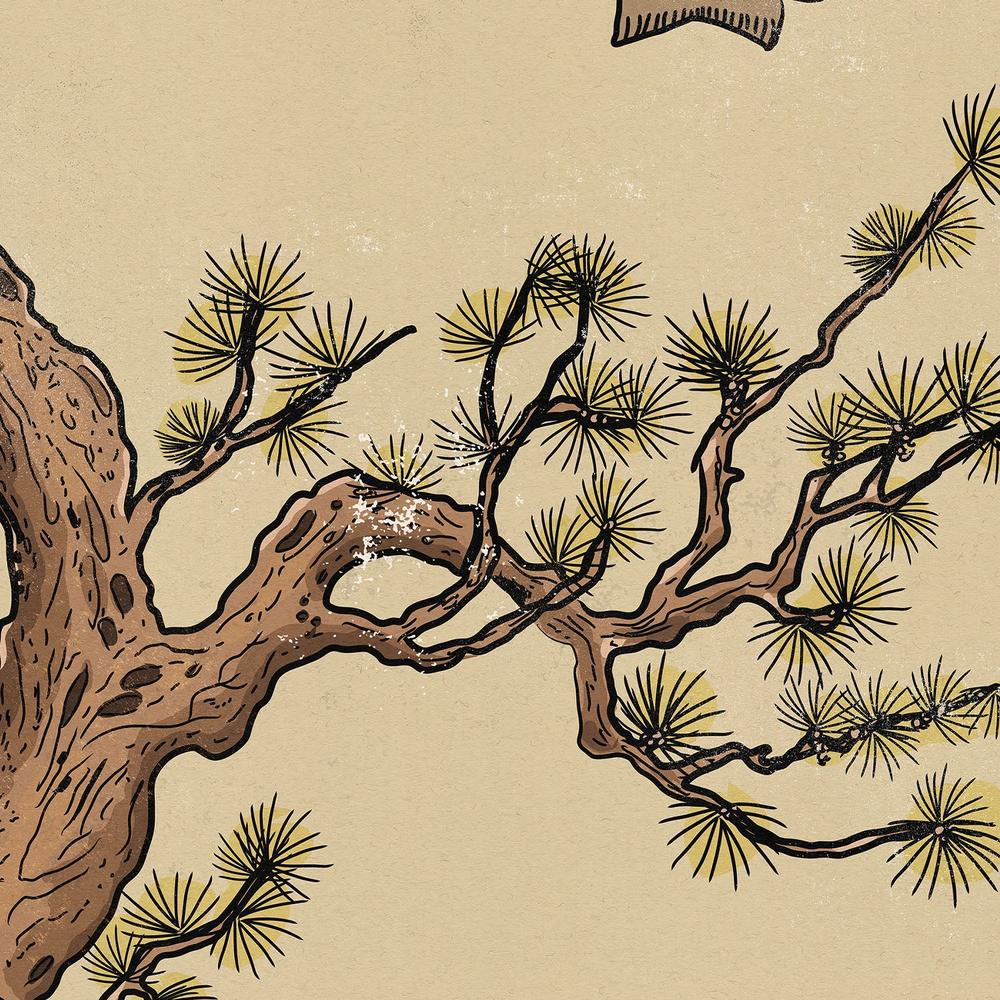 Serene Japanese Pine Landscape