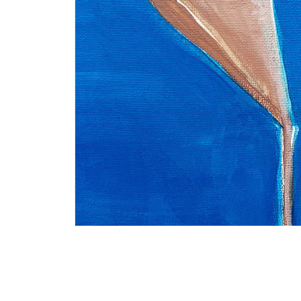 DIVING WOMAN