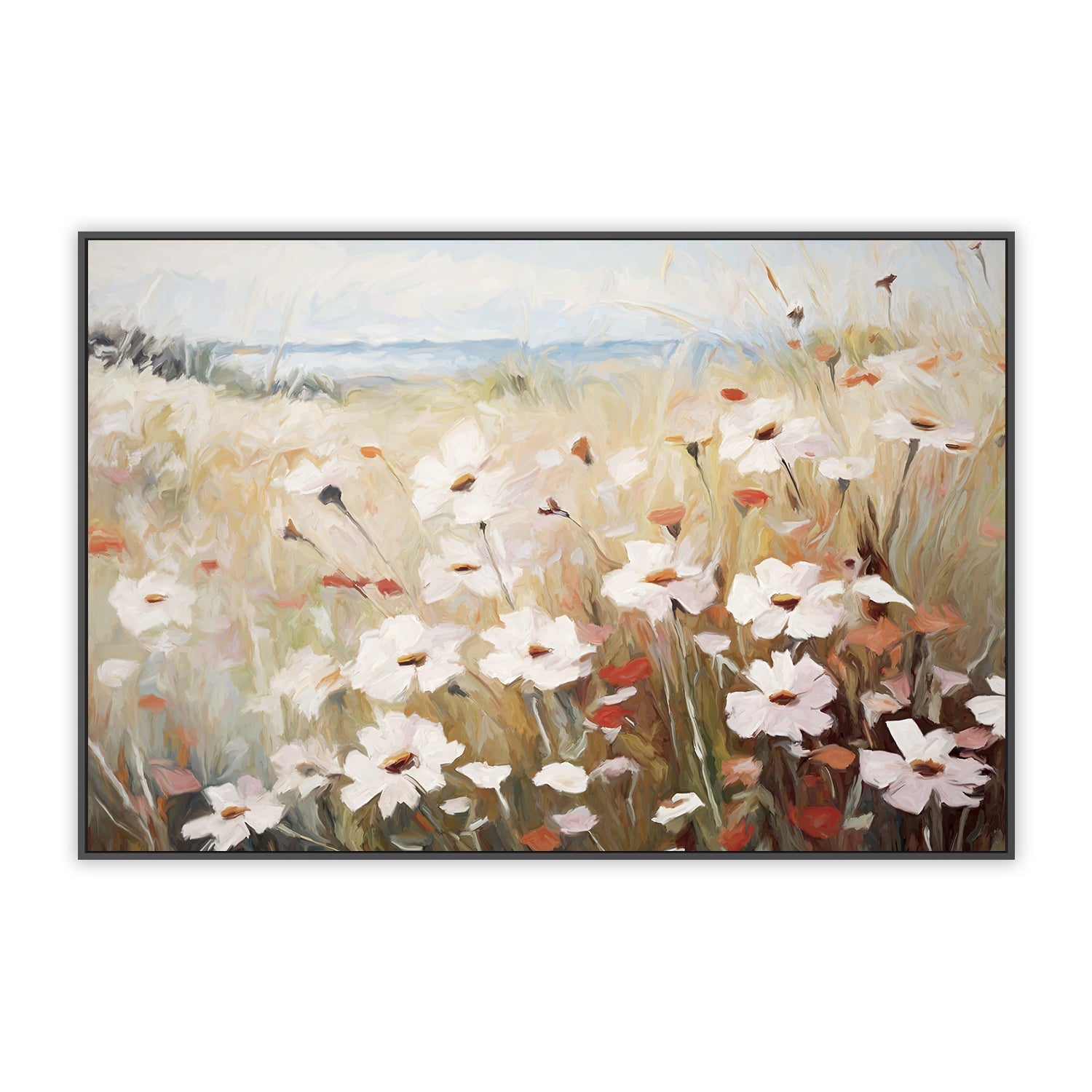 Poppies And Daisies