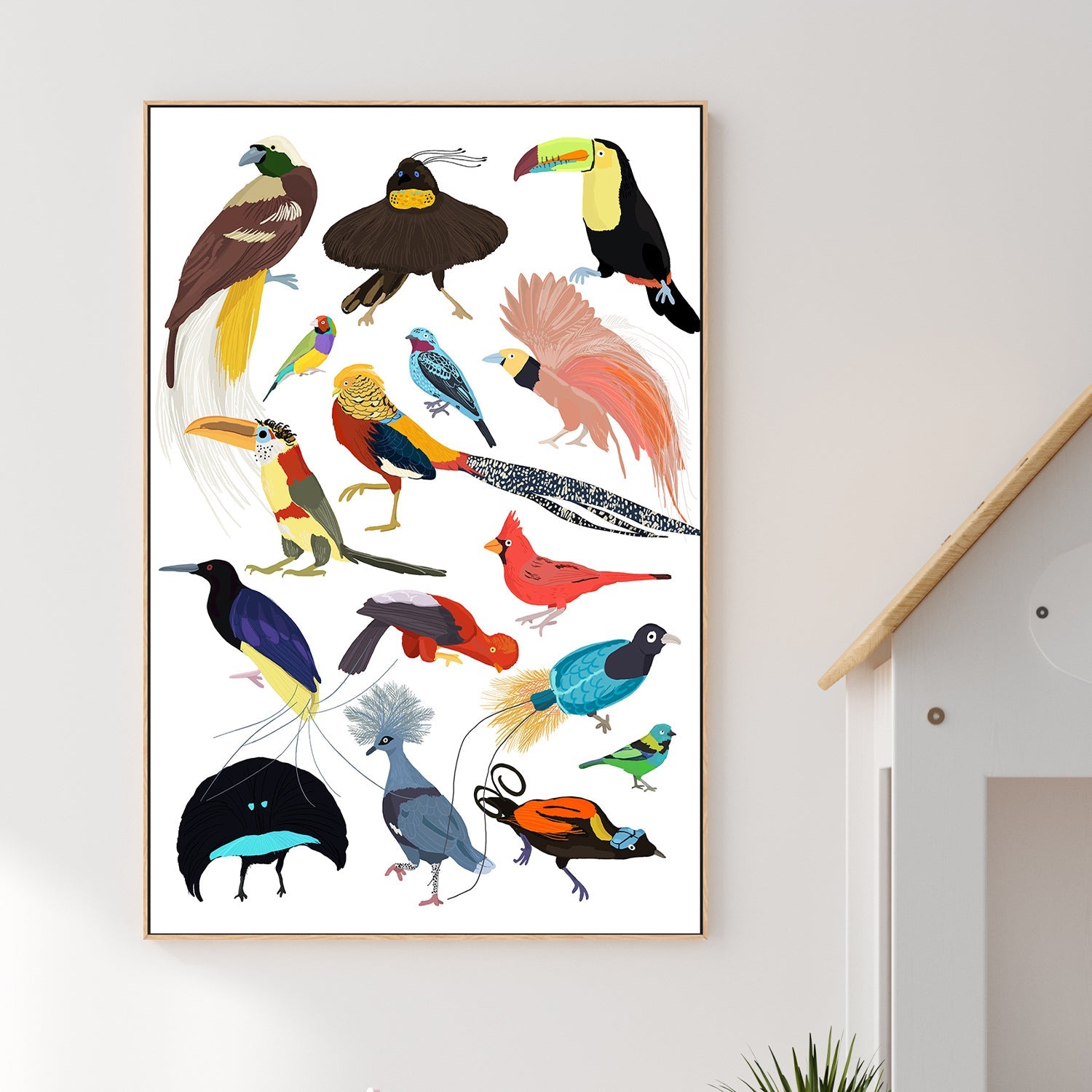 Birds of Paradise