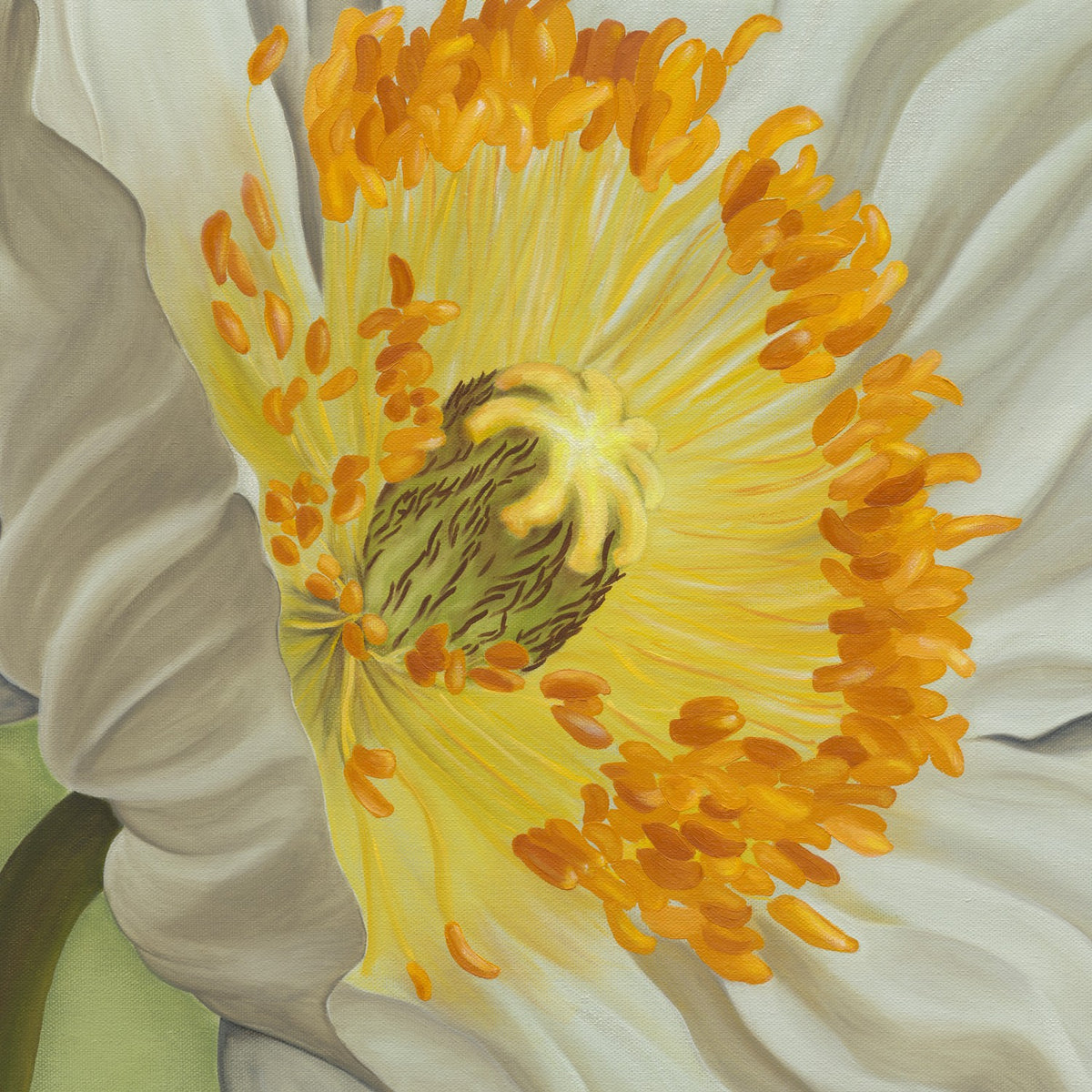 Single White Flower