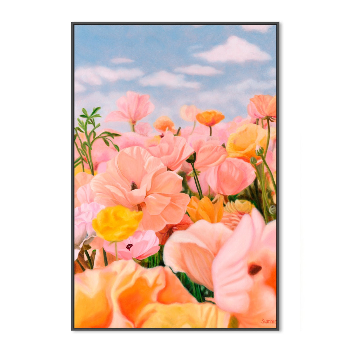 Pink Field of Dreams