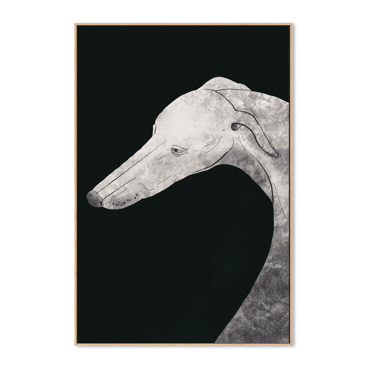 Greyhound