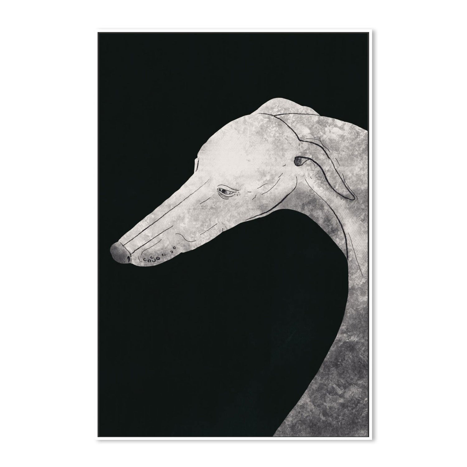 Greyhound