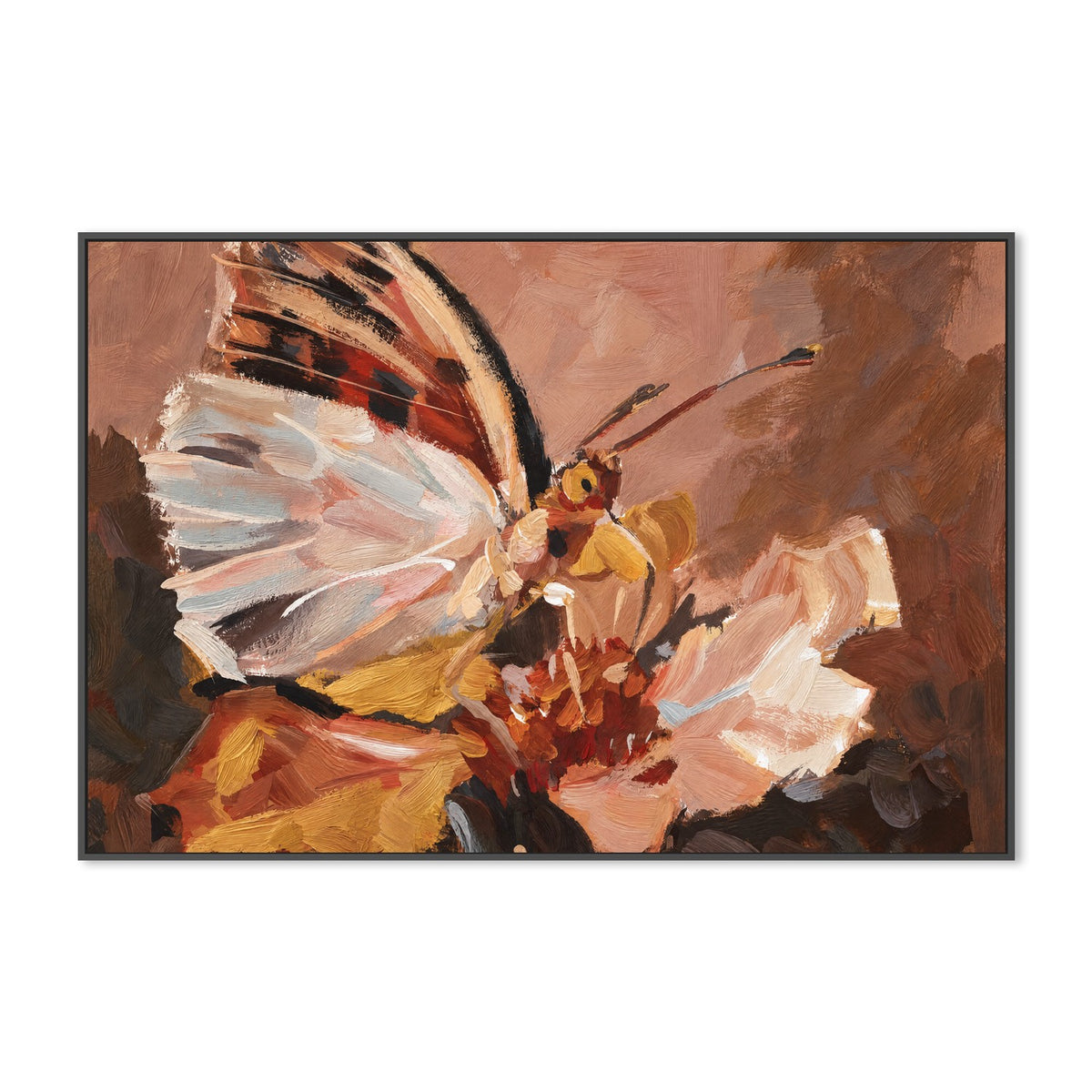Butterfly on Petal