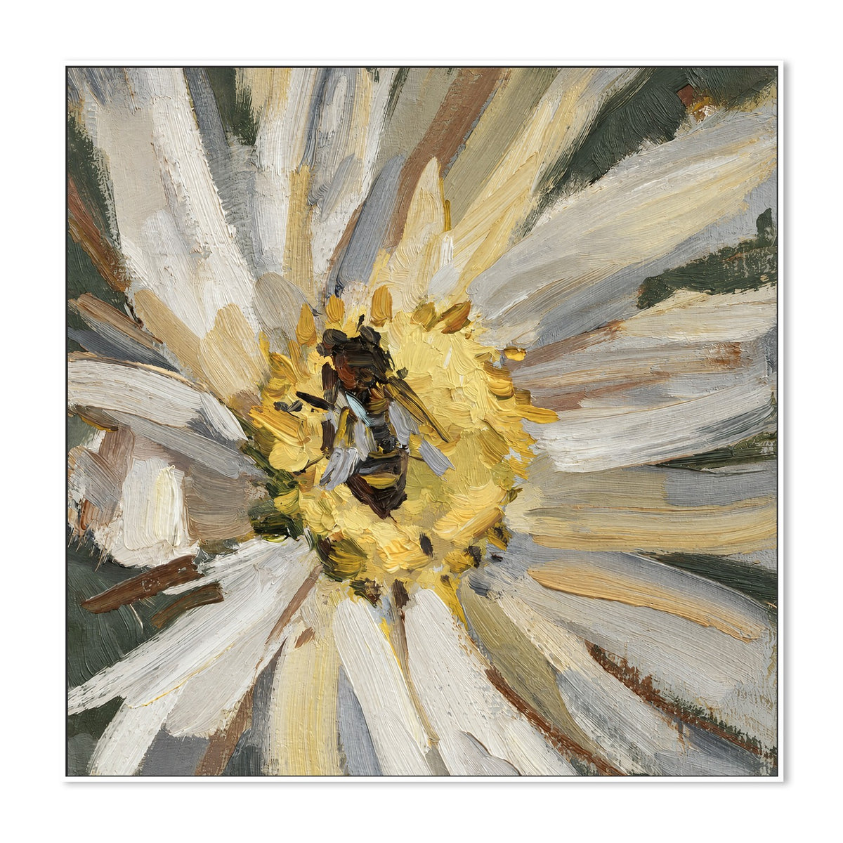 Bee on Ivory Daisy