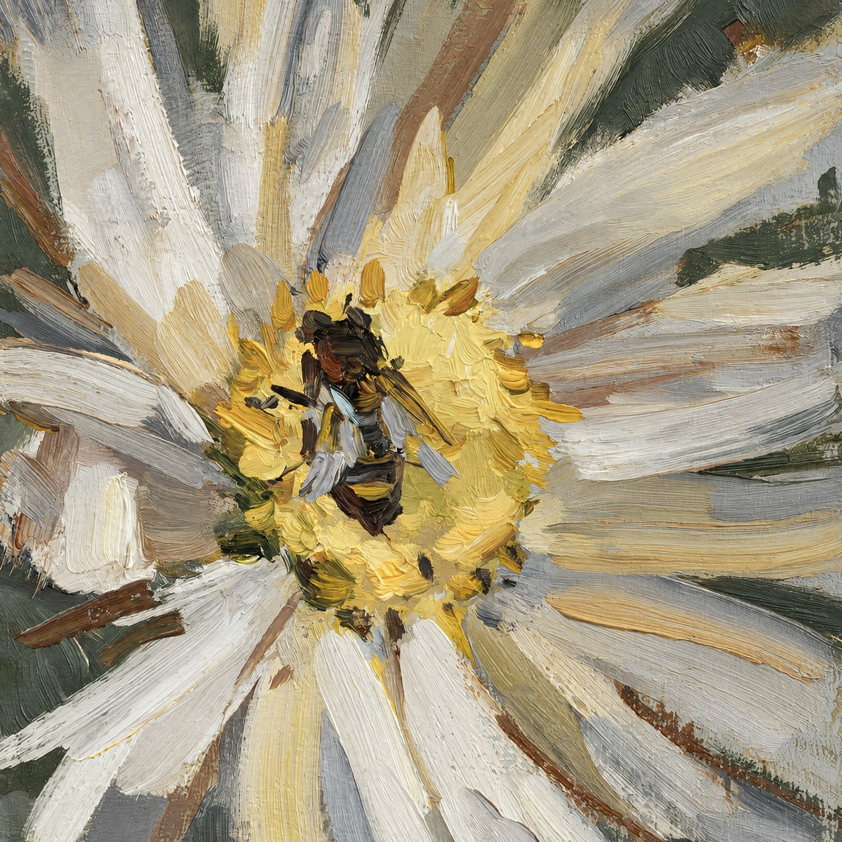 Bee on Ivory Daisy