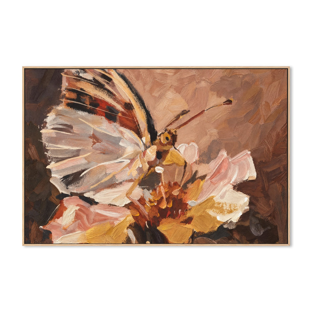Butterfly in Peach Light