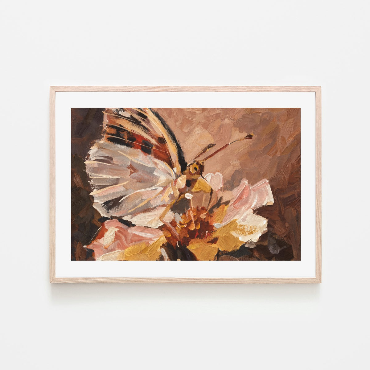Butterfly in Peach Light