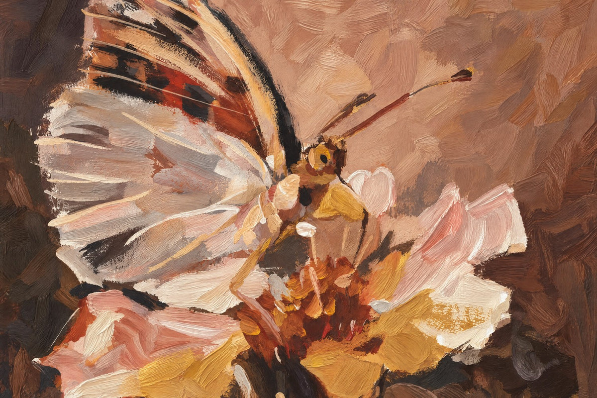 Butterfly in Peach Light