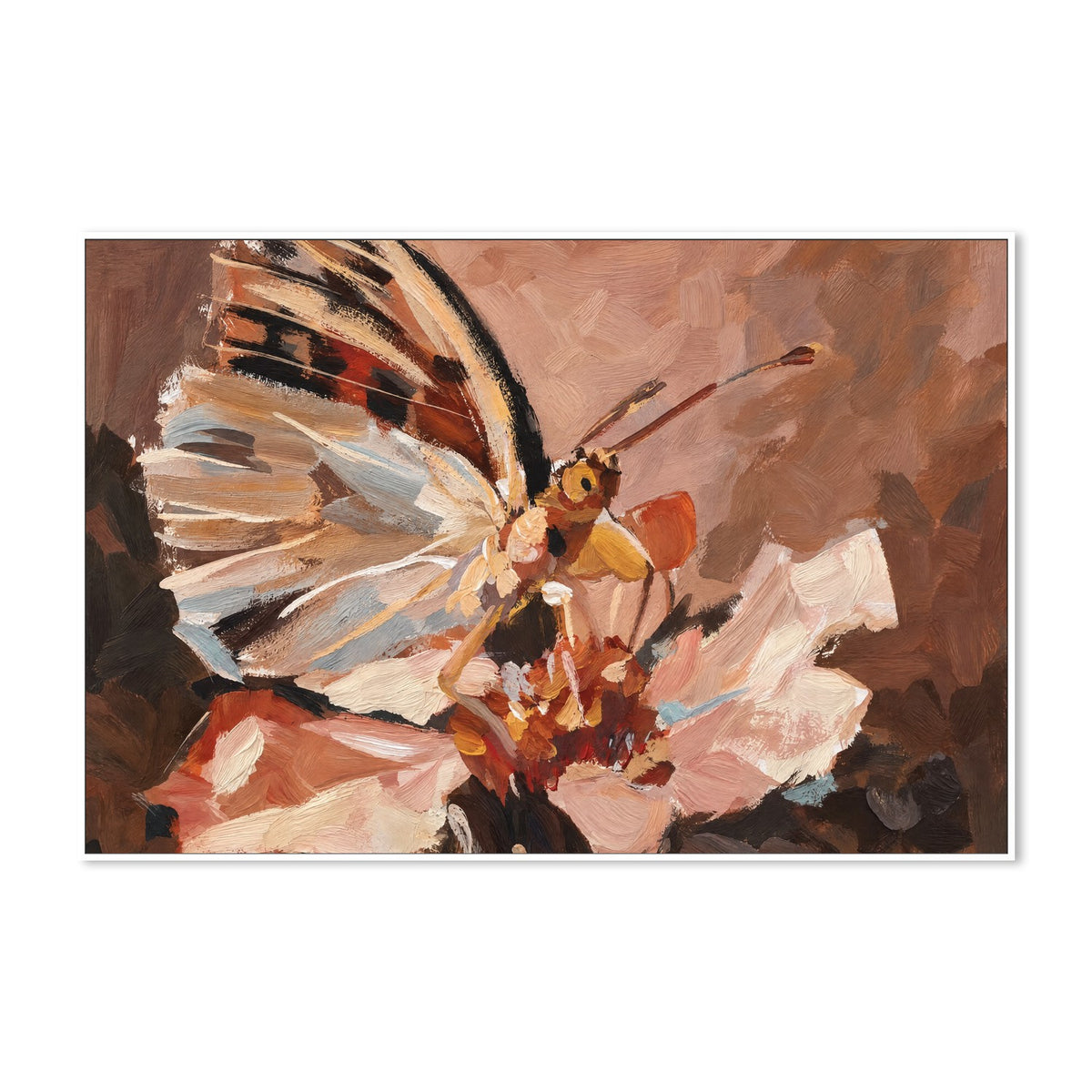 Butterfly in Terracotta Light