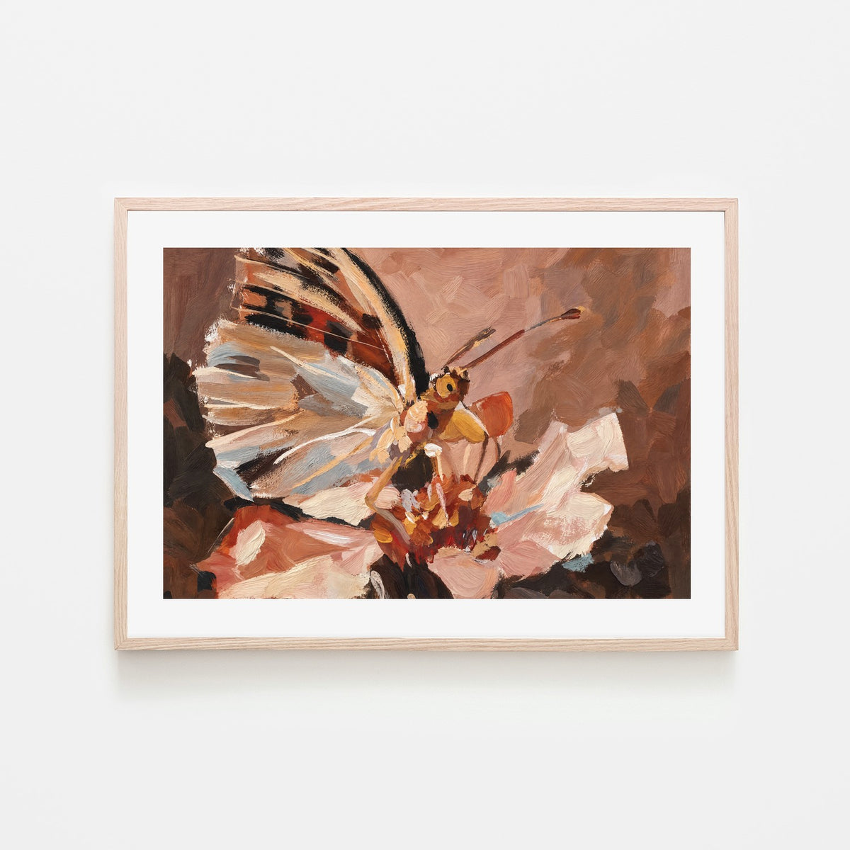 Butterfly in Terracotta Light