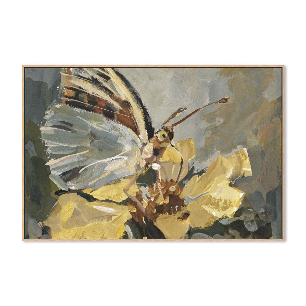 Butterfly in Golden Light