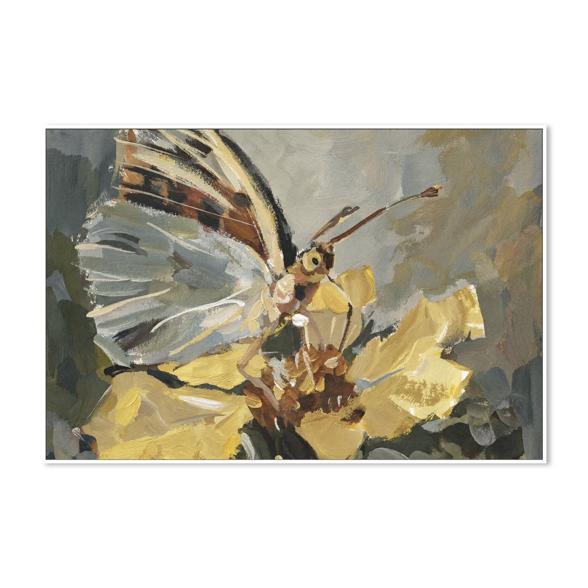 Butterfly in Golden Light