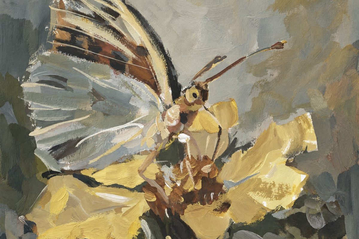 Butterfly in Golden Light