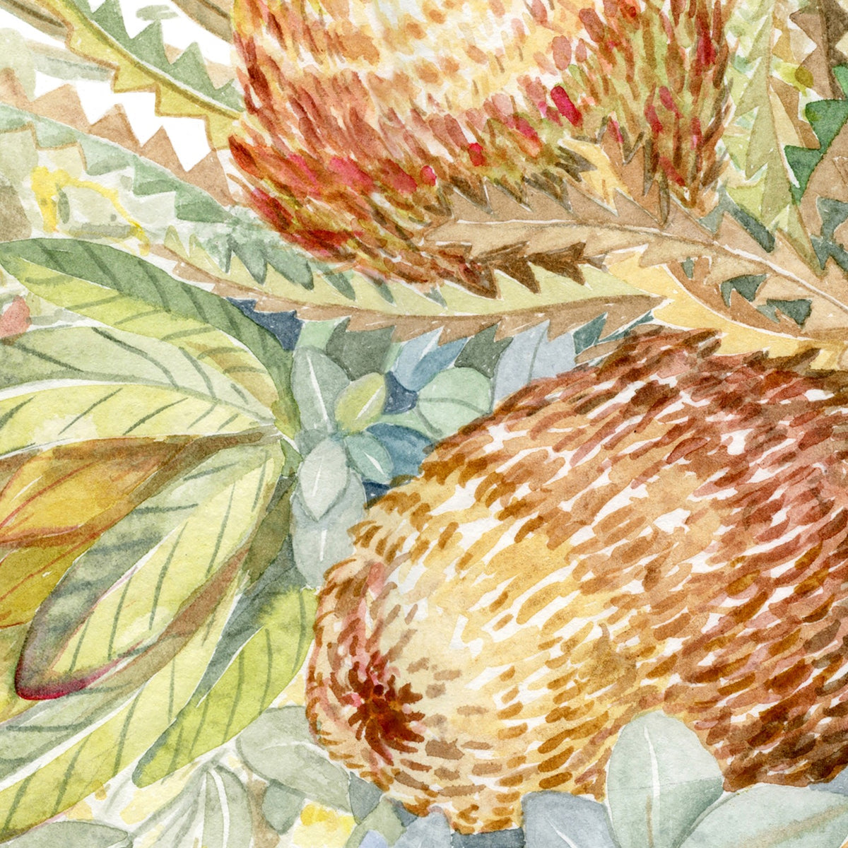 Protea & Banksia - Neutral Tones