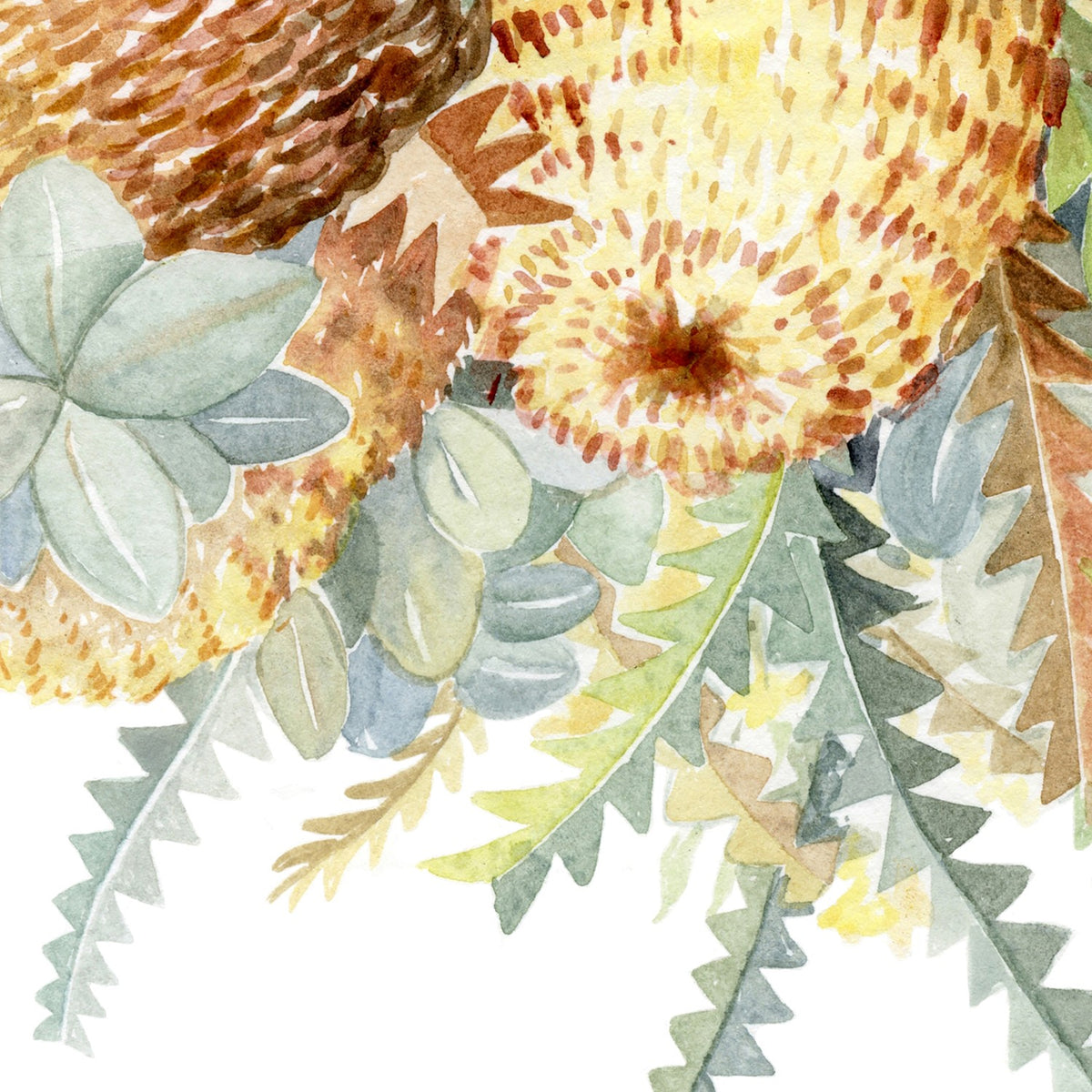Protea & Banksia - Neutral Tones
