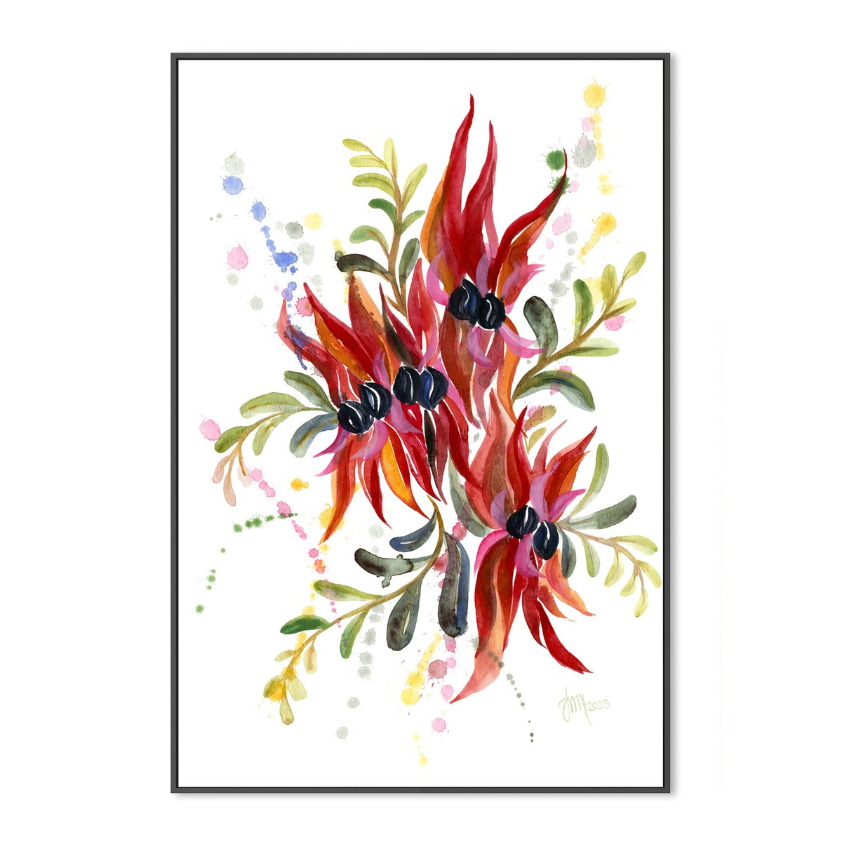 Sturt Desert Pea