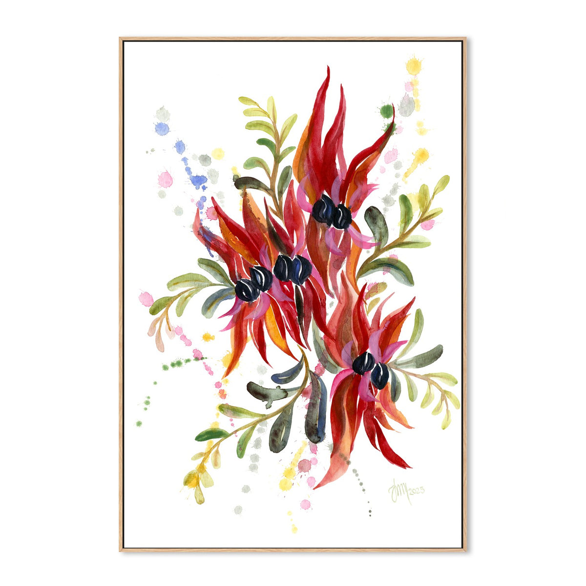 Sturt Desert Pea