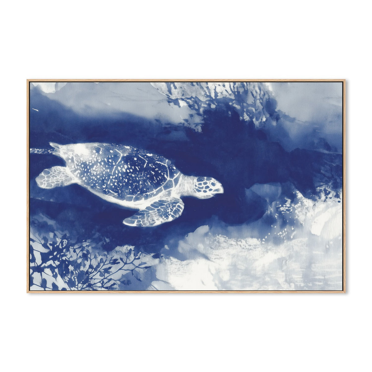 Sea Turtle Over Open Ocean