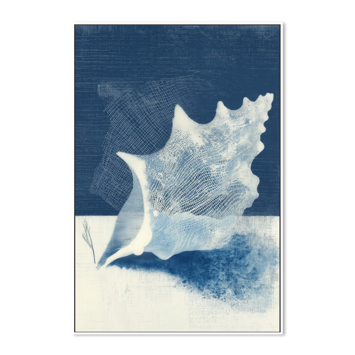 Minimal Conch Shell Profile
