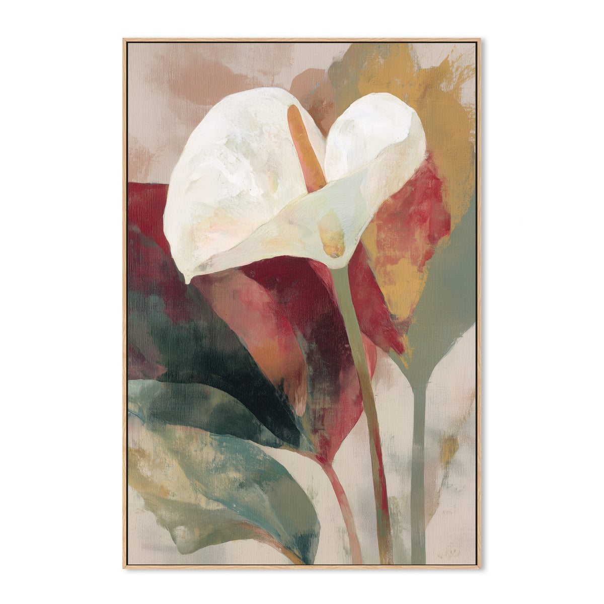 Anthurium in Soft Focus