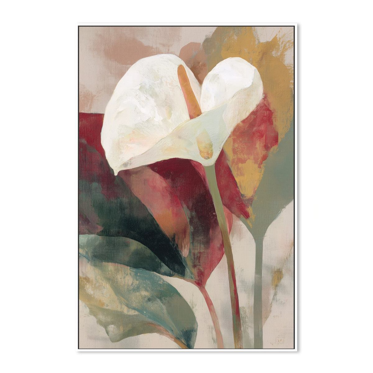 Anthurium in Soft Focus