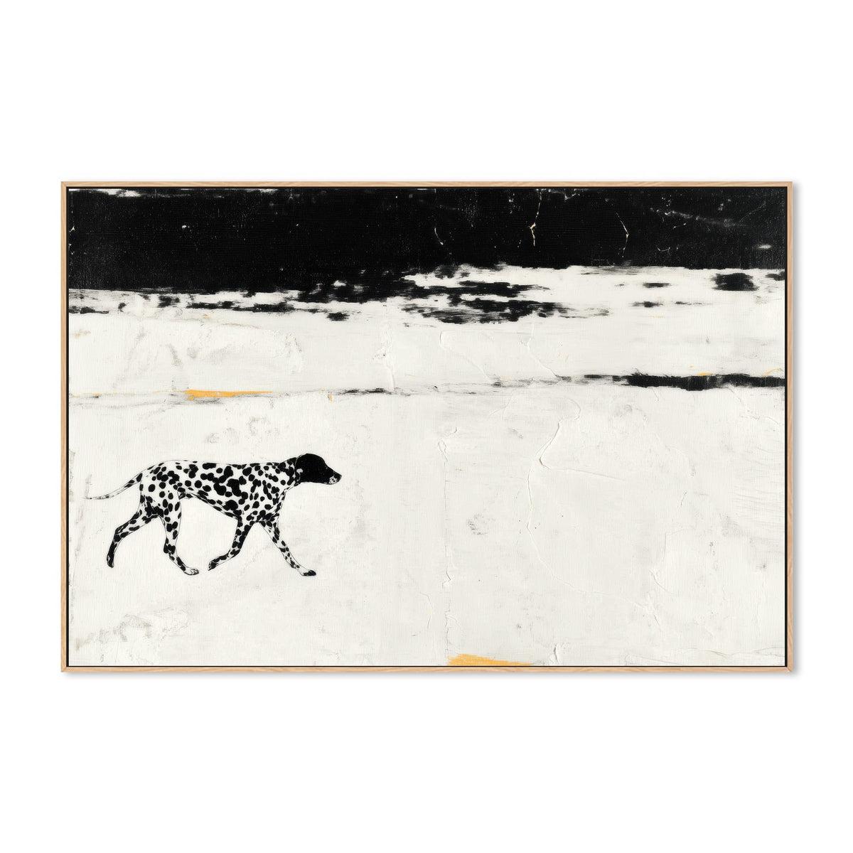 Dalmatian on the Shore