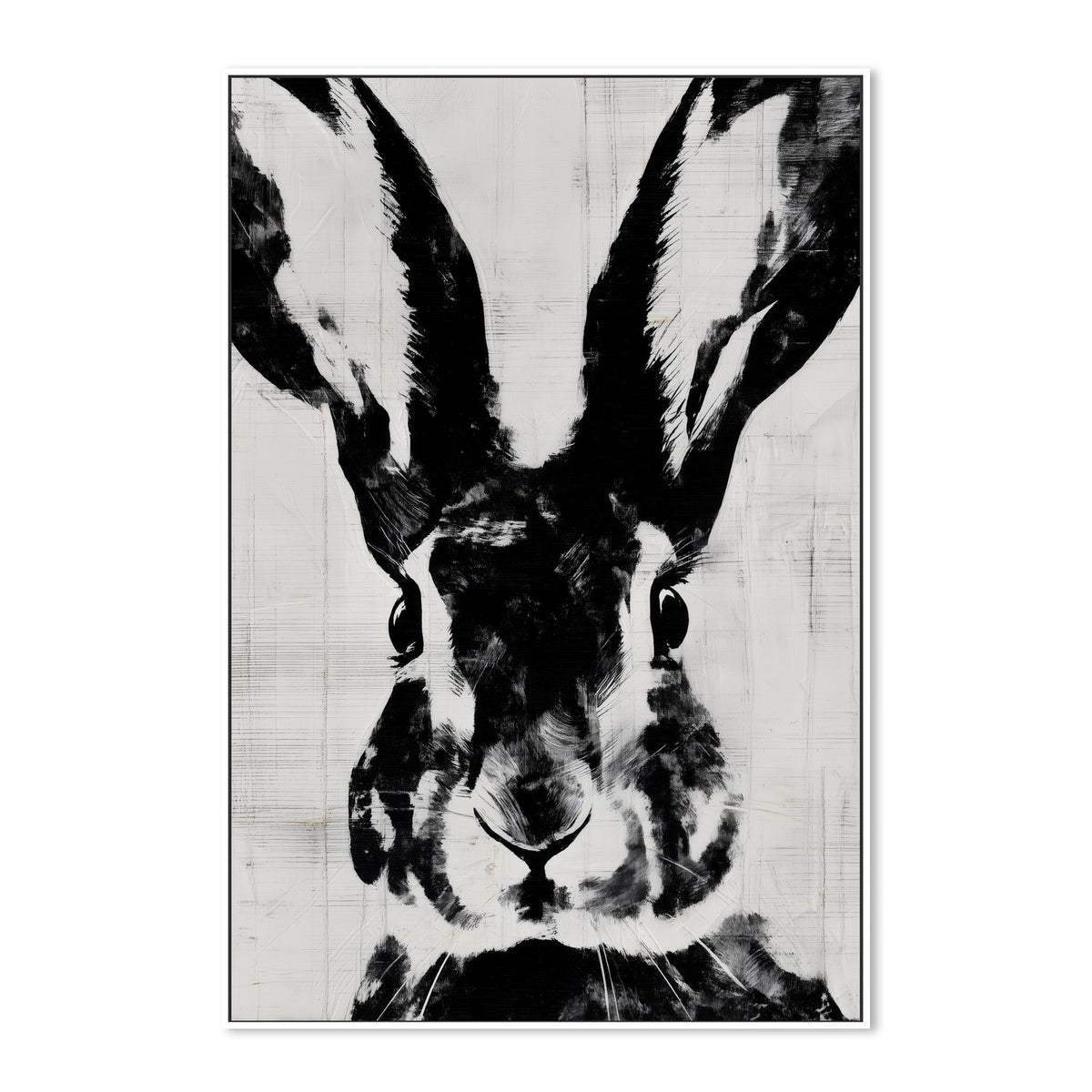 Rabbit Close Gaze